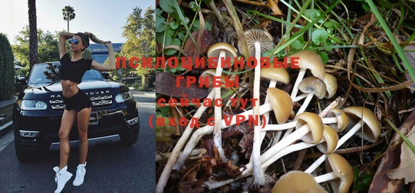 MDMA Premium VHQ Красноперекопск