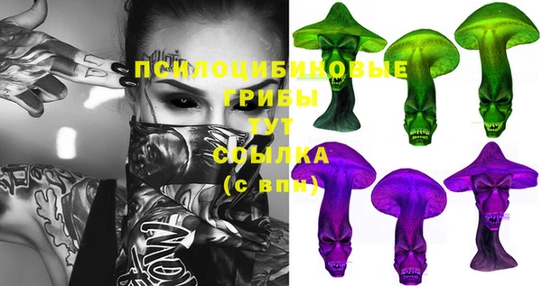 гашик Краснотурьинск